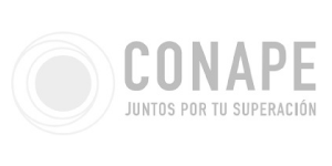 Fin2
